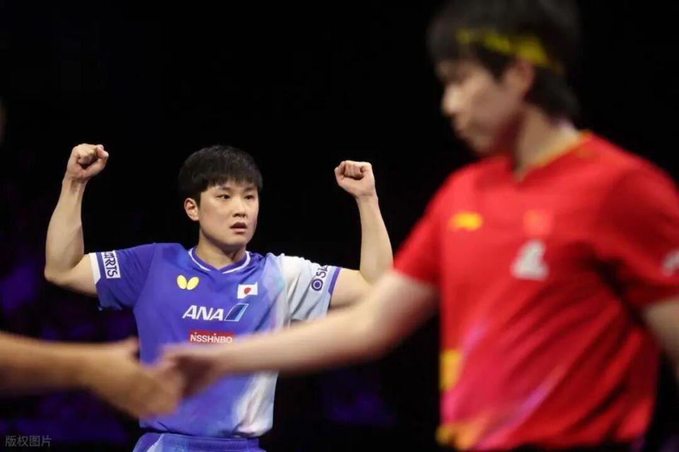 选手张本智, 胜之战, cj