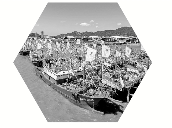 测系统充当, 岸养殖的 测系统充当, 岸养殖的