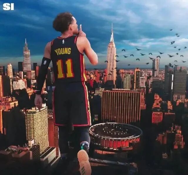 很不错的, 迪逊广场花 很不错的, 迪逊广场花